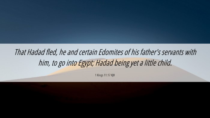 Picture 06 - 1 Kings 11:17 KJV Desktop Wallpaper - That Hadad fled, he and certain Edomites of his - Desktop Bible Verse Wallpaper
