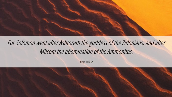 Picture 06 - 1 Kings 11:5 KJV Desktop Wallpaper - For Solomon went after Ashtoreth the goddess of - Desktop Bible Verse Wallpaper