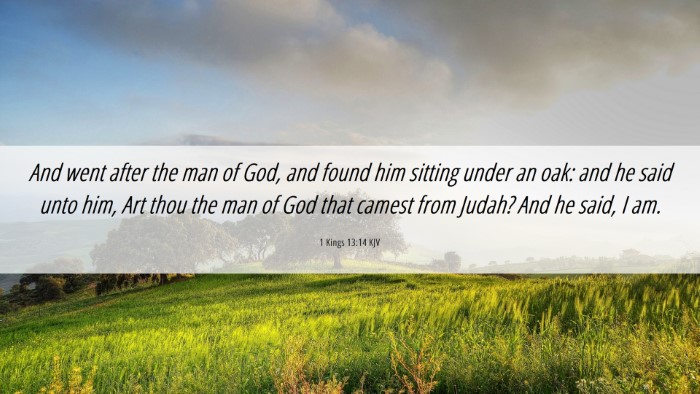 Picture 06 - 1 Kings 13:14 KJV Desktop Wallpaper - And went after the man of God, and found him - Desktop Bible Verse Wallpaper