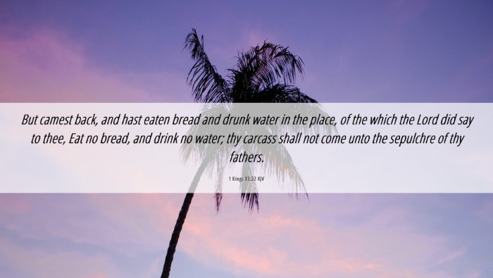 Picture 06 - 1 Kings 13:22 KJV Desktop Wallpaper - But camest back, and hast eaten bread and drunk - Desktop Bible Verse Wallpaper