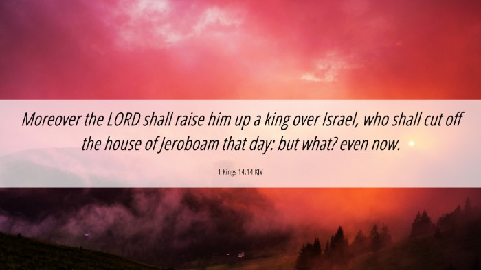 Picture 06 - 1 Kings 14:14 KJV Desktop Wallpaper - Moreover the LORD shall raise him up a king over - Desktop Bible Verse Wallpaper