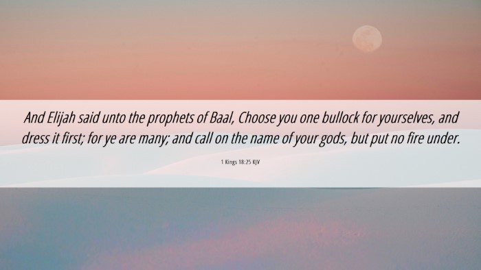 Picture 06 - 1 Kings 18:25 KJV Desktop Wallpaper - And Elijah said unto the prophets of Baal, Choose - Desktop Bible Verse Wallpaper