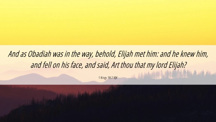 Picture 06 - 1 Kings 18:7 KJV Desktop Wallpaper - And as Obadiah was in the way, behold, Elijah met - Desktop Bible Verse Wallpaper