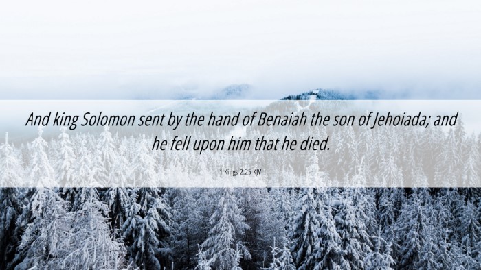 Picture 06 - 1 Kings 2:25 KJV Desktop Wallpaper - And king Solomon sent by the hand of Benaiah the - Desktop Bible Verse Wallpaper