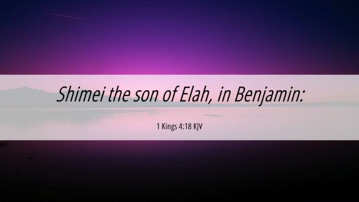 Picture 06 - 1 Kings 4:18 KJV Desktop Wallpaper - Shimei the son of Elah, in - Desktop Bible Verse Wallpaper