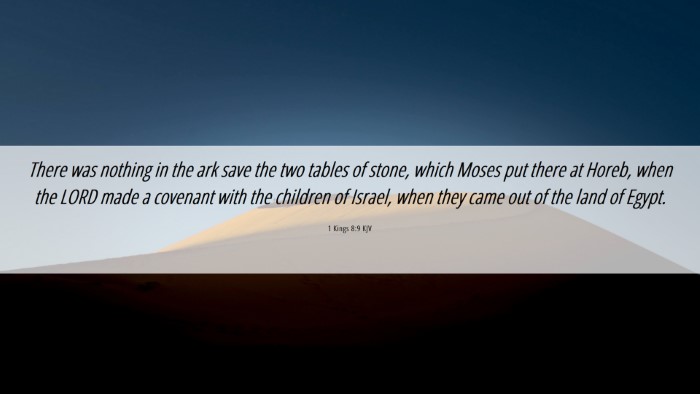 Picture 06 - 1 Kings 8:9 KJV Desktop Wallpaper - There was nothing in the ark save the two tables - Desktop Bible Verse Wallpaper