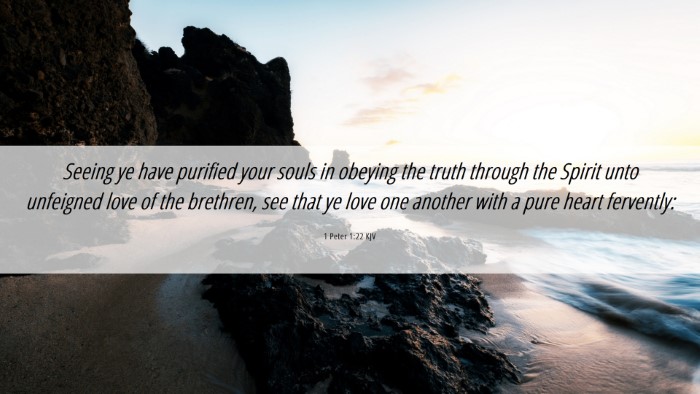Picture 06 - 1 Peter 1:22 KJV Desktop Wallpaper - Seeing ye have purified your souls in obeying the - Desktop Bible Verse Wallpaper