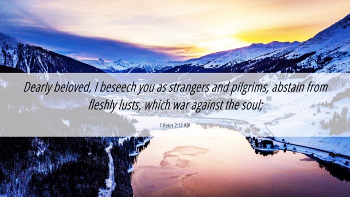 Picture 06 - 1 Peter 2:11 KJV Desktop Wallpaper - Dearly beloved, I beseech you as strangers and - Desktop Bible Verse Wallpaper