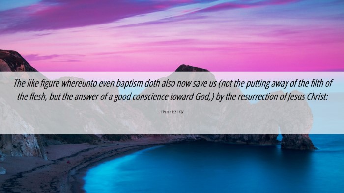 Picture 06 - 1 Peter 3:21 KJV Desktop Wallpaper - The like figure whereunto even baptism doth also - Desktop Bible Verse Wallpaper