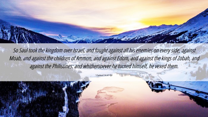 Picture 06 - 1 Samuel 14:47 KJV Desktop Wallpaper - So Saul took the kingdom over Israel, and fought - Desktop Bible Verse Wallpaper