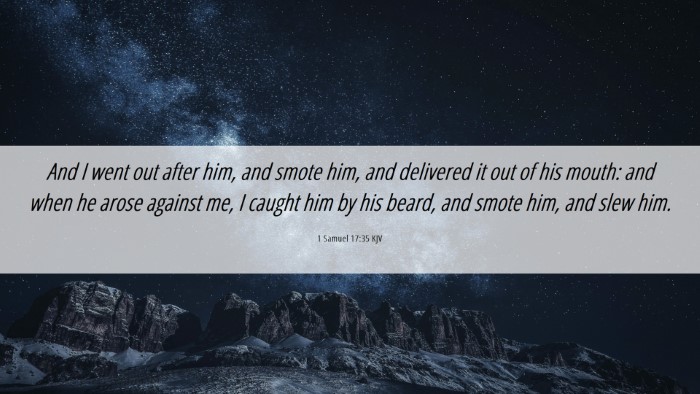Picture 06 - 1 Samuel 17:35 KJV Desktop Wallpaper - And I went out after him, and smote him, and - Desktop Bible Verse Wallpaper