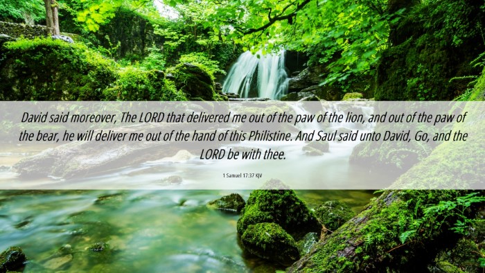 Picture 06 - 1 Samuel 17:37 KJV Desktop Wallpaper - David said moreover, The LORD that delivered me - Desktop Bible Verse Wallpaper