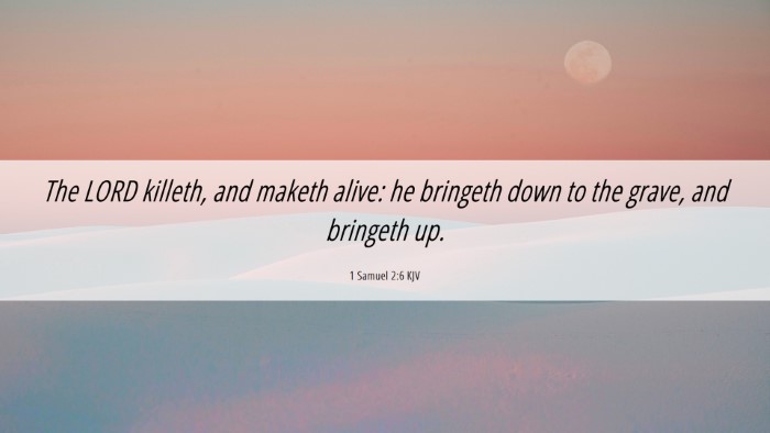 Picture 06 - 1 Samuel 2:6 KJV Desktop Wallpaper - The LORD killeth, and maketh alive: he bringeth - Desktop Bible Verse Wallpaper