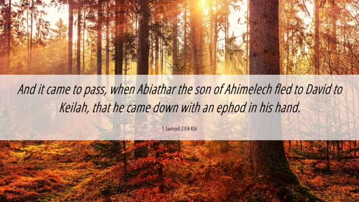 Picture 06 - 1 Samuel 23:6 KJV Desktop Wallpaper - And it came to pass, when Abiathar the son of - Desktop Bible Verse Wallpaper