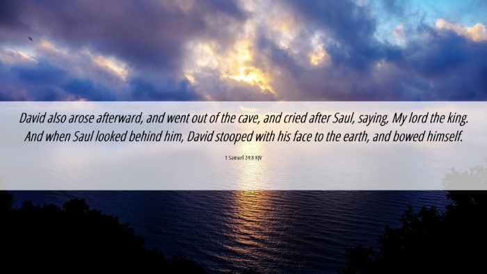 Picture 06 - 1 Samuel 24:8 KJV Desktop Wallpaper - David also arose afterward, and went out of the - Desktop Bible Verse Wallpaper