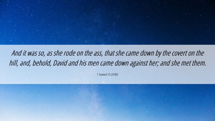 Picture 06 - 1 Samuel 25:20 KJV Desktop Wallpaper - And it was so, as she rode on the ass, that she - Desktop Bible Verse Wallpaper