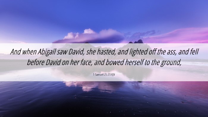 Picture 06 - 1 Samuel 25:23 KJV Desktop Wallpaper - And when Abigail saw David, she hasted, and - Desktop Bible Verse Wallpaper