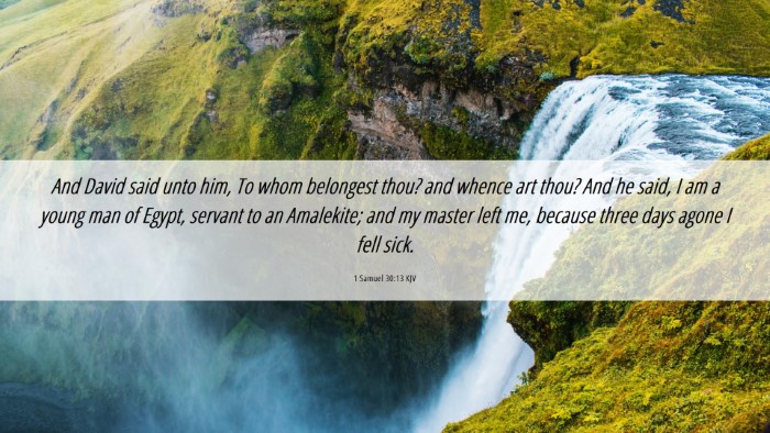 Picture 06 - 1 Samuel 30:13 KJV Desktop Wallpaper - And David said unto him, To whom belongest thou? - Desktop Bible Verse Wallpaper