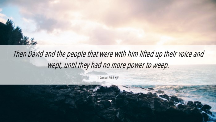 Picture 06 - 1 Samuel 30:4 KJV Desktop Wallpaper - Then David and the people that were with him - Desktop Bible Verse Wallpaper