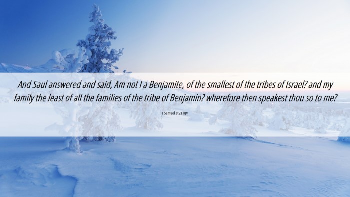 Picture 06 - 1 Samuel 9:21 KJV Desktop Wallpaper - And Saul answered and said, Am not I a Benjamite, - Desktop Bible Verse Wallpaper