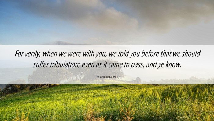 Picture 06 - 1 Thessalonians 3:4 KJV Desktop Wallpaper - For verily, when we were with you, we told you - Desktop Bible Verse Wallpaper