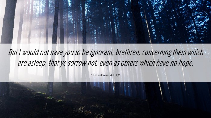 Picture 06 - 1 Thessalonians 4:13 KJV Desktop Wallpaper - But I would not have you to be ignorant, - Desktop Bible Verse Wallpaper