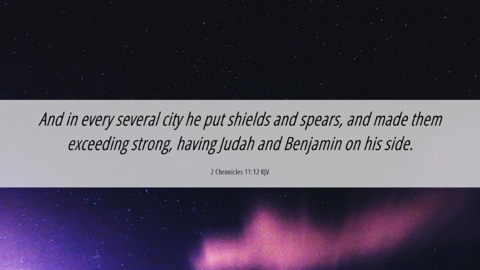 Picture 06 - 2 Chronicles 11:12 KJV Desktop Wallpaper - And in every several city he put shields and - Desktop Bible Verse Wallpaper