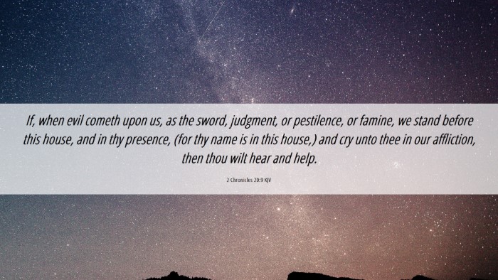 Picture 06 - 2 Chronicles 20:9 KJV Desktop Wallpaper - If, when evil cometh upon us, as the sword, - Desktop Bible Verse Wallpaper