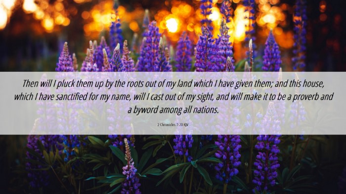 Picture 06 - 2 Chronicles 7:20 KJV Desktop Wallpaper - Then will I pluck them up by the roots out of my - Desktop Bible Verse Wallpaper