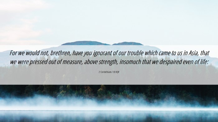 Picture 06 - 2 Corinthians 1:8 KJV Desktop Wallpaper - For we would not, brethren, have you ignorant of - Desktop Bible Verse Wallpaper