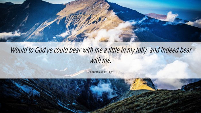 Picture 06 - 2 Corinthians 11:1 KJV Desktop Wallpaper - Would to God ye could bear with me a little in my - Desktop Bible Verse Wallpaper