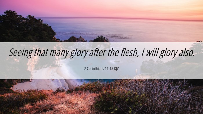 Picture 06 - 2 Corinthians 11:18 KJV Desktop Wallpaper - Seeing that many glory after the flesh, I will - Desktop Bible Verse Wallpaper