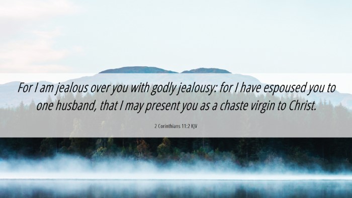 Picture 06 - 2 Corinthians 11:2 KJV Desktop Wallpaper - For I am jealous over you with godly jealousy: - Desktop Bible Verse Wallpaper