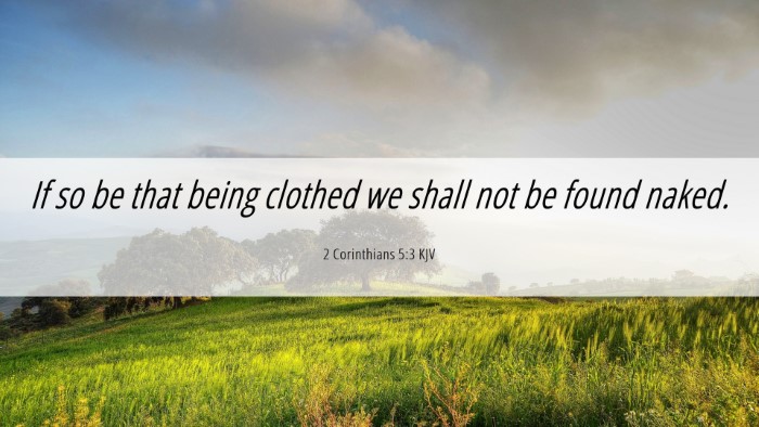 Picture 06 - 2 Corinthians 5:3 KJV Desktop Wallpaper - If so be that being clothed we shall not be found - Desktop Bible Verse Wallpaper