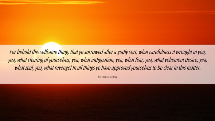 Picture 06 - 2 Corinthians 7:11 KJV Desktop Wallpaper - For behold this selfsame thing, that ye sorrowed - Desktop Bible Verse Wallpaper