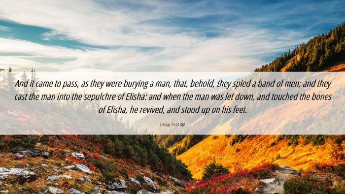 Picture 06 - 2 Kings 13:21 KJV Desktop Wallpaper - And it came to pass, as they were burying a man, - Desktop Bible Verse Wallpaper