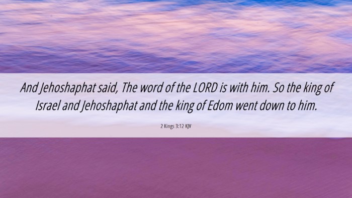 Picture 06 - 2 Kings 3:12 KJV Desktop Wallpaper - And Jehoshaphat said, The word of the LORD is - Desktop Bible Verse Wallpaper