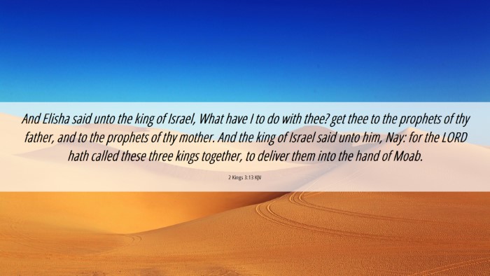Picture 06 - 2 Kings 3:13 KJV Desktop Wallpaper - And Elisha said unto the king of Israel, What - Desktop Bible Verse Wallpaper