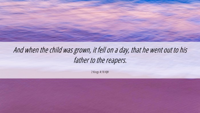 Picture 06 - 2 Kings 4:18 KJV Desktop Wallpaper - And when the child was grown, it fell on a day, - Desktop Bible Verse Wallpaper