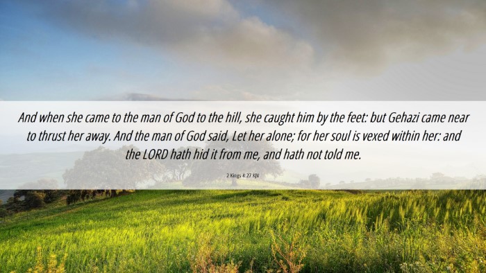 Picture 06 - 2 Kings 4:27 KJV Desktop Wallpaper - And when she came to the man of God to the hill, - Desktop Bible Verse Wallpaper