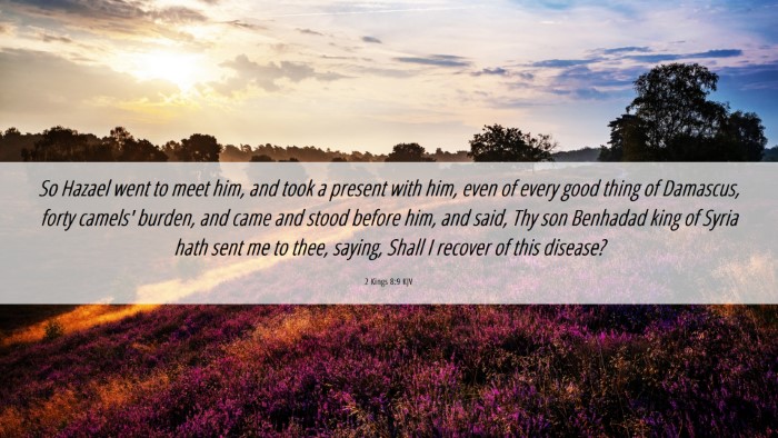 Picture 06 - 2 Kings 8:9 KJV Desktop Wallpaper - So Hazael went to meet him, and took a present - Desktop Bible Verse Wallpaper