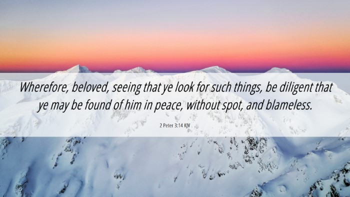 Picture 06 - 2 Peter 3:14 KJV Desktop Wallpaper - Wherefore, beloved, seeing that ye look for such - Desktop Bible Verse Wallpaper