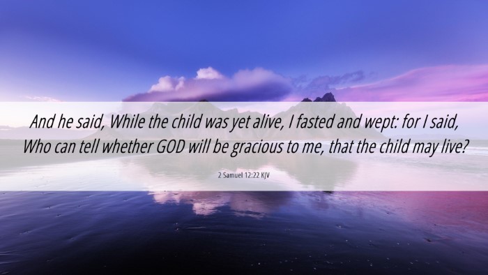 Picture 06 - 2 Samuel 12:22 KJV Desktop Wallpaper - And he said, While the child was yet alive, I - Desktop Bible Verse Wallpaper