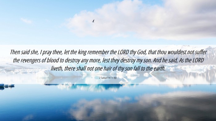 Picture 06 - 2 Samuel 14:11 KJV Desktop Wallpaper - Then said she, I pray thee, let the king remember - Desktop Bible Verse Wallpaper