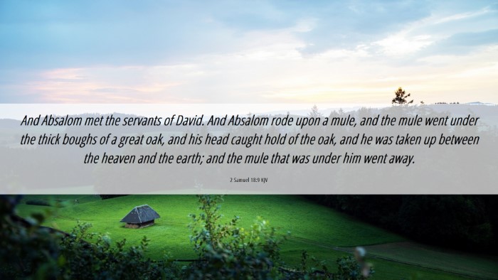 Picture 06 - 2 Samuel 18:9 KJV Desktop Wallpaper - And Absalom met the servants of David. And - Desktop Bible Verse Wallpaper