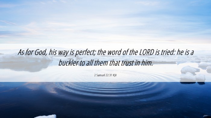 Picture 06 - 2 Samuel 22:31 KJV Desktop Wallpaper - As for God, his way is perfect; the word of the - Desktop Bible Verse Wallpaper