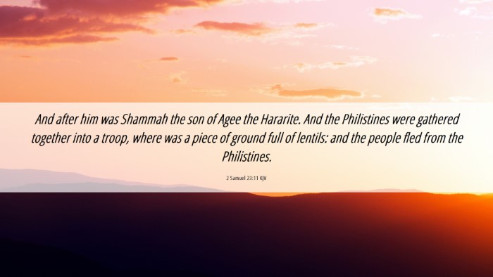 Picture 06 - 2 Samuel 23:11 KJV Desktop Wallpaper - And after him was Shammah the son of Agee the - Desktop Bible Verse Wallpaper