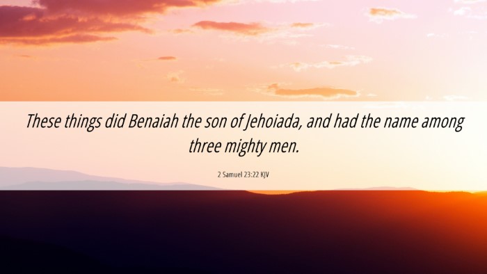 Picture 06 - 2 Samuel 23:22 KJV Desktop Wallpaper - These things did Benaiah the son of Jehoiada, and - Desktop Bible Verse Wallpaper