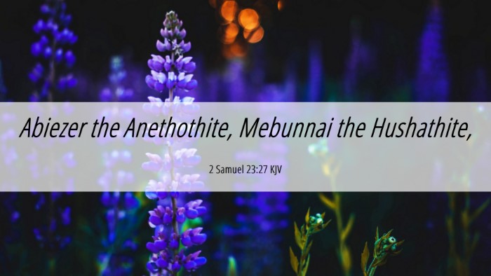 Picture 06 - 2 Samuel 23:27 KJV Desktop Wallpaper - Abiezer the Anethothite, Mebunnai the - Desktop Bible Verse Wallpaper