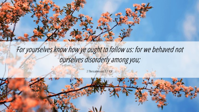 Picture 06 - 2 Thessalonians 3:7 KJV Desktop Wallpaper - For yourselves know how ye ought to follow us: - Desktop Bible Verse Wallpaper